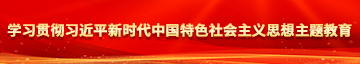 中国老年人操逼大片免费看学习贯彻习近平新时代中国特色社会主义思想主题教育